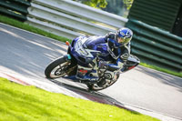 cadwell-no-limits-trackday;cadwell-park;cadwell-park-photographs;cadwell-trackday-photographs;enduro-digital-images;event-digital-images;eventdigitalimages;no-limits-trackdays;peter-wileman-photography;racing-digital-images;trackday-digital-images;trackday-photos